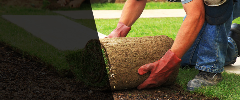 Crete Landscapers